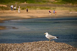 Auch andere genie�en den Ausblick im Norden der Insel