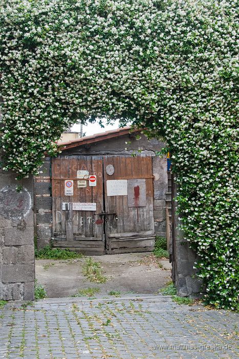 021-MSG_20120613121846__ND21332.jpg - In Viterbo - San Pellegrino 